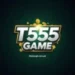 T555 Game (3)