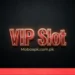VIP Slot Game