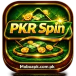 PKRSPIN Game