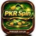 PKRSPIN Game